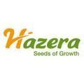 Hazera seeds Нідерланди