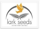 "Lark Seeds" США