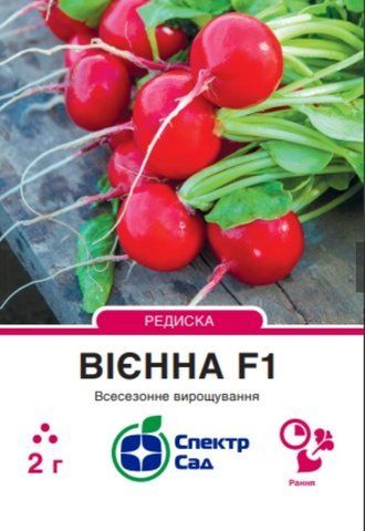 Редиска Вієна f1 2 г 3065 фото