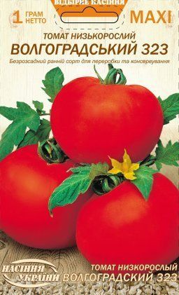 МАКСІ Томат Низькорослий ВОЛГОГРАДСЬКИЙ 323 [1г] 2042 фото