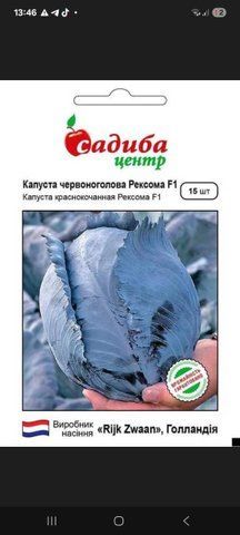 Капуста червоноголова Рексома F1 15 шт 5667 фото