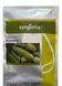 Кабачок КОРДЕЛІЯ F1 Syngenta 10 шт ( Самопакування в зіп пакет з профупаковки) 1203 фото 1