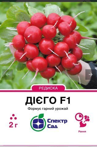 Редиска Дієго F1, 2 г 34556 фото