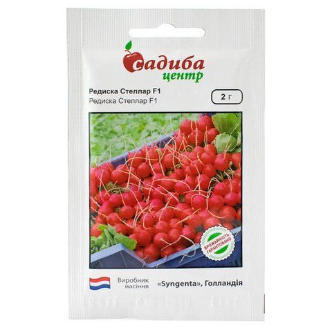 Редис Стелар F1 2 г Syngenta 0364 фото