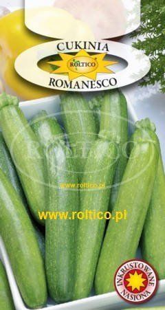 Насіння кабачка Romanesko - Романеско 2г РОЛТІКО 0465 фото