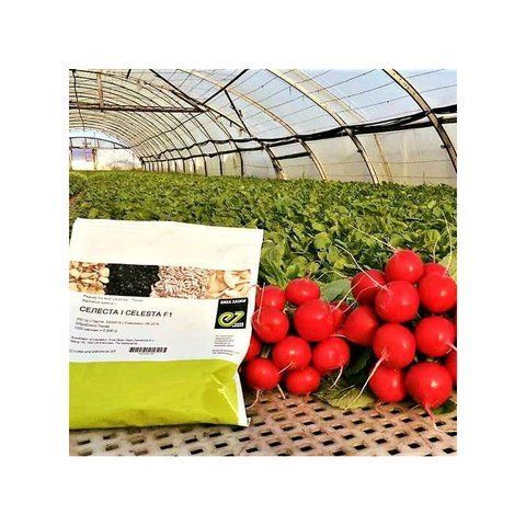 Редиска СЕЛЕСТА F1 | CELESTA F1 Enza Zaden 3г ( на вагу з проф упаковки) 0769 фото