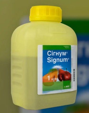 Фунгіцид Сігнум 1 кг Basf Басф Німеччина, 6грам(самопакування) на 5л. води 2519 фото