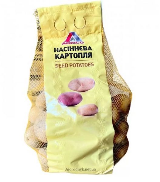 Насіннєва картопля АРІЗОНА 2.5 кг AGRICO (1-РЕПРОДУКЦІЯ) 3403 фото
