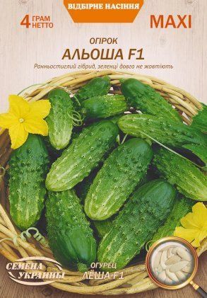 МАКСІ Огірок АЛЬОША F1 [4г] 2429 фото