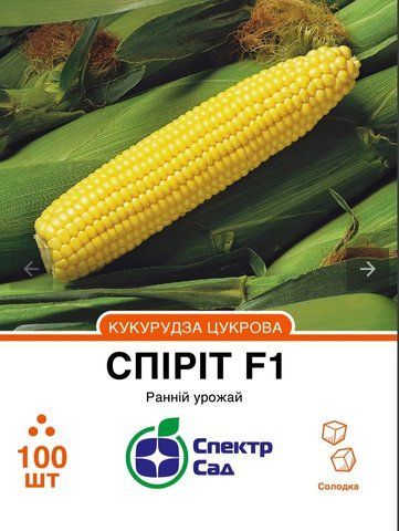 Цукрова кукурудза Спіріт F1, 100 шт 976567 фото