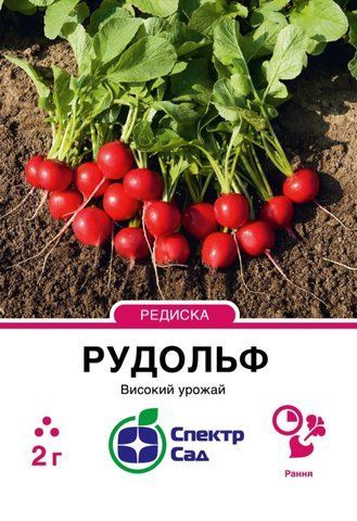 Редиска Рудольф, 2 гр 2191 фото