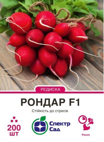 Редиска Рондар F1, 200 шт 2192 фото