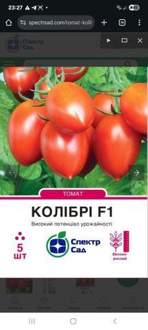 Томат Колібрі F1, 5 шт 246789 фото