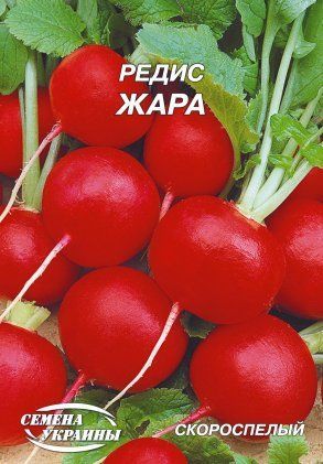 Редиска Жара [20г] 1080 фото
