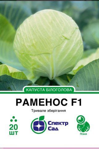 Білоголова капуста Раменос F1, 20 шт 2195 фото