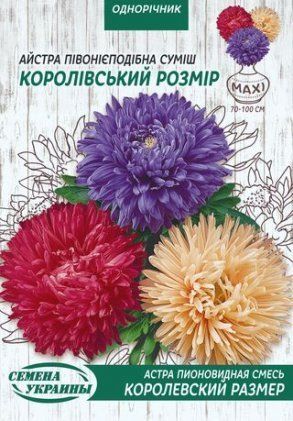МАКСІ Айстра Піоновидна КОРОЛІВСЬКИЙ РОЗМІР (суміш) [3г] 30032 фото