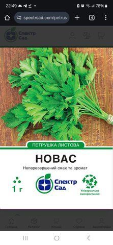 Петрушка листова Новас, 1 гр 2202 фото