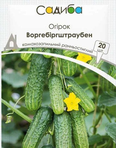 Огірок Воргебіргштраубен 20 шт  3567887 фото