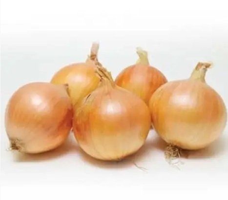 Цибуля Шекспір 8/21, TOP Onion(Нідерланди) 0,5кг 1353 фото