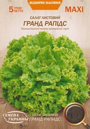 МАКСІ Салат Листовий ГРАНД РАПІДС [5г] 0731 фото