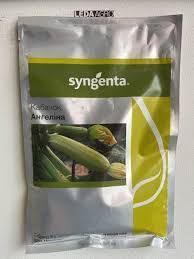 Ангеліна F1 10 шт насіння кабачка Syngenta Голландія ( самопакування в зіп пакет з проф упаковки,) 0582 фото