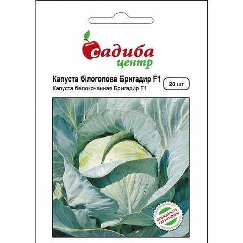 КАПУСТА БІЛОКАЧАННА БРИГАДИР F1 САДИБА ЦЕНТР 0383 фото
