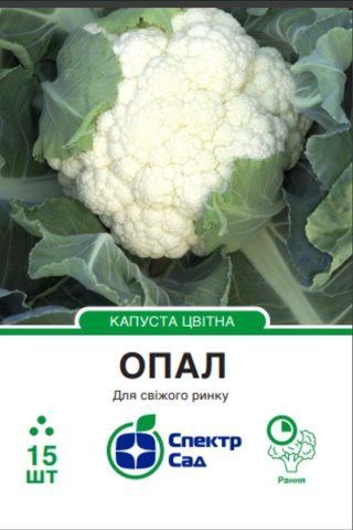 Капуста цвітна Опал 15 нас Спектр Сад 1711 фото