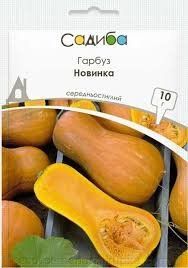 Гарбуз Новинка Садиба центр 10 г 0435 фото