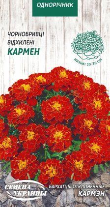 Чорнобривці Відхилені КАРМЕН [0,5г] 0939 фото