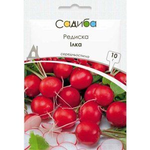 РЕДИС ІЛКА 10 гр садиба 0386 фото