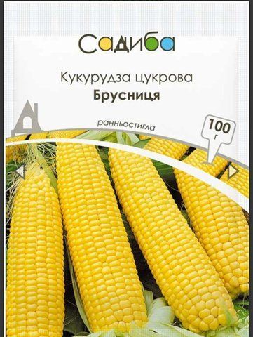 Кукурудза цукрова Брусниця 100г 4567878 фото