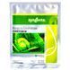 Капуста білокачанна ДЖЕТОДОР F1 Syngenta 20 нас 1199 фото 1