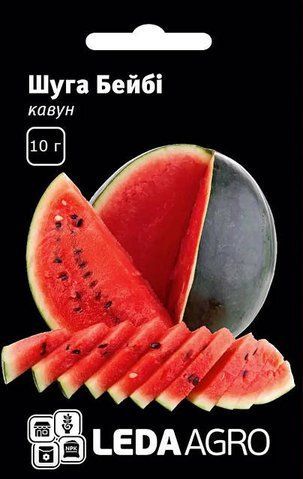 Кавун Шуга Бейбі 10 г 578866 фото