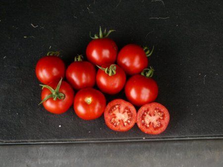Томат Шаста f1 10 шт Lark seeds 0595 фото