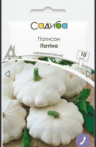 Патісон Патіна 567867 фото