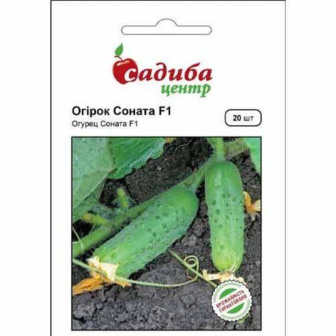 ОГІРОК СОНАТА F1 САДИБА ЦЕНТР 20 шт 0443 фото