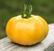 KS 10 (ЯМАМОТО) F1 10 шт Kitano Seeds Томат Індетермінантний 0849 фото 2